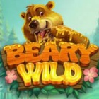 Beary Wild